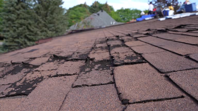 Best Gutter Installation and Repair  in Feasterville, PA